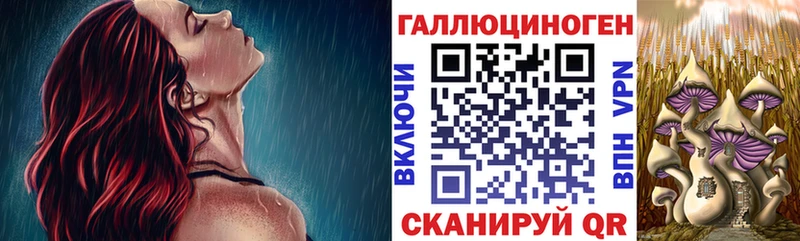 где продают   Елизово  Псилоцибиновые грибы мухоморы 